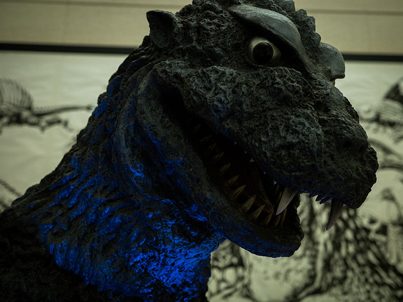 Godzilla 70th Anniversary